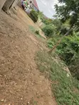 Half Plot of Land for Sale at Ablekuma - 3