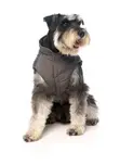 FuzzYard Stormchaser Pet Jacket - Dark Grey - 2