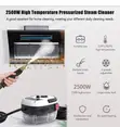 Portable Multifunctional Steam Cleaner - 4
