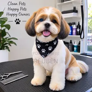 Professional Pet Grooming Services