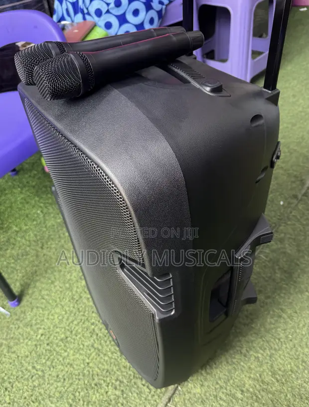 12-Inch Rechargeable Bluetooth Speaker with 2 Microphones - 1
