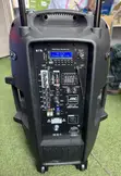 12-Inch Rechargeable Bluetooth Speaker with 2 Microphones - 2