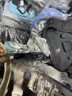 Original Swiss Gear Backpack with Rain Cover & USB Port