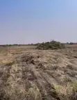 Prampram Miotso Land for Sale - 1