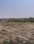 Prampram Miotso Land for Sale - 2