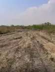 Prampram Miotso Land for Sale - 3