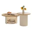 Coffee Table Set of 2 with Storage - 1