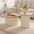 Coffee Table Set of 2 with Storage - 4