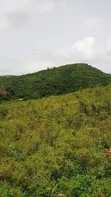 5 Acres Hilltop Land with City Views - 1