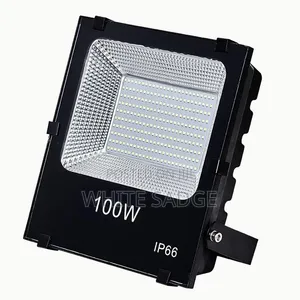 100W Waterproof Flood Lights