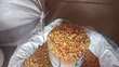 Quality Yellow Maize - 150kg - 2