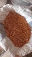 Quality Yellow Maize - 150kg - 3