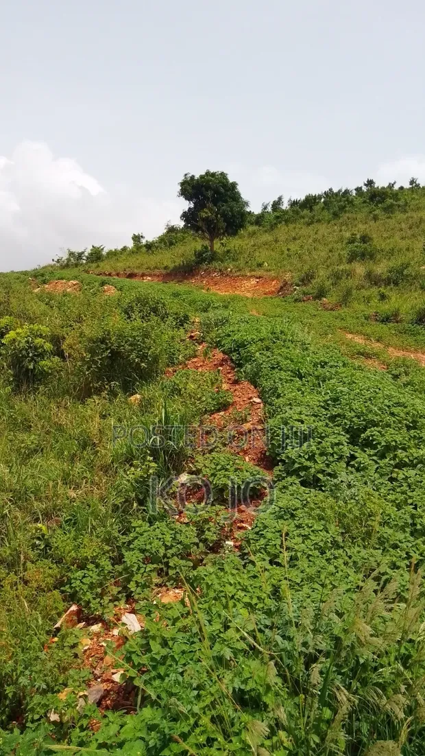 10 Acres Hillside Land in Dodowa Mountains - 1