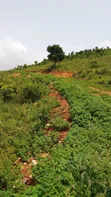 10 Acres Hillside Land in Dodowa Mountains - 1
