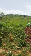10 Acres Hillside Land in Dodowa Mountains - 2
