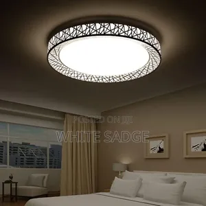 Brand New LED Ceiling Light