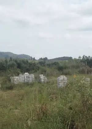 1 Plot Roadside Land - Ga South