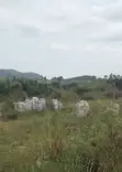 1 Plot Roadside Land - Ga South - 1