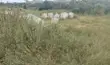 1 Plot Roadside Land - Ga South - 5