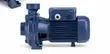 Pedrollo 1.5HP Surface Water Pump - 1