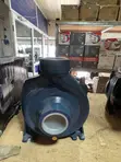 Pedrollo 3HP Surface Centrifugal Water Pump - 3