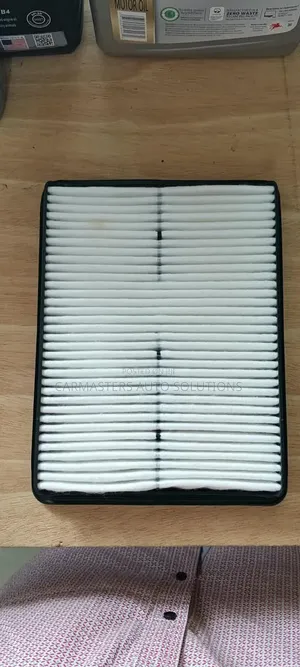 Hyundai Kia Air Filter 28113-2w100 for Santa Fe & Sorento