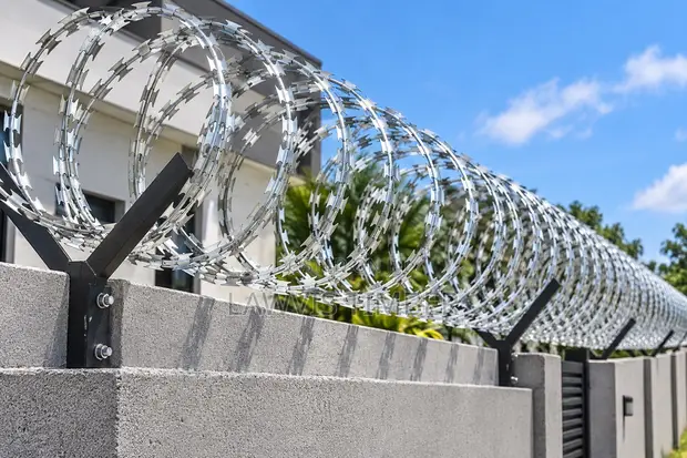 Galvanized Concertina Razor Wire - 1