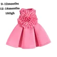 Kids Classic Dress - Multicolor - 3