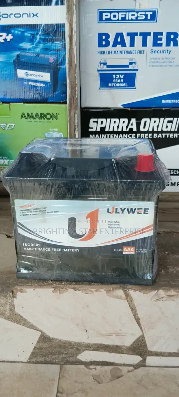 ULYWEE 13 Plate Car Battery - 1