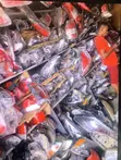 Toyota Vitz Headlights - 4