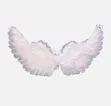Kids' Wings - Small Size - 1