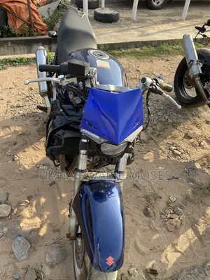 Suzuki Bandit 2014 Blue