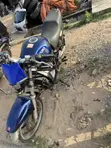 Suzuki Bandit 2014 Blue - 4