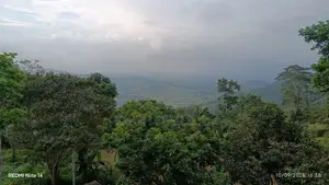 Registered Land for Sale in Aburi