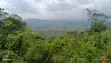 Registered Land for Sale in Aburi - 2
