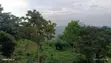 Registered Land for Sale in Aburi - 5