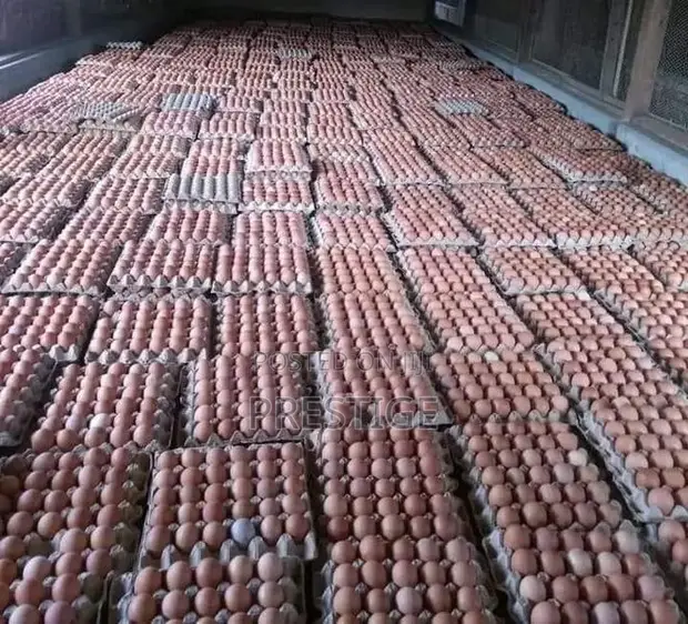 Prestige Poultry Eggs - 1