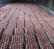 Prestige Poultry Eggs - 1