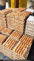 Prestige Poultry Eggs - 4