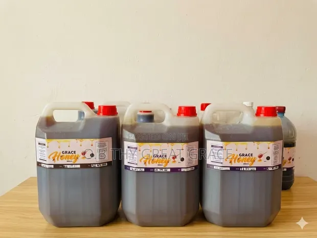 100% Pure Raw Forest Honey - Wholesale Gallons - 1