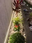 Chris Garden Landscaping & Gardening Services - 2