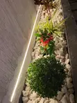 Chris Garden Landscaping & Gardening Services - 3