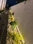 Chris Garden Landscaping & Gardening Services - 4