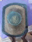Black Soldier Fly Eggs - 2