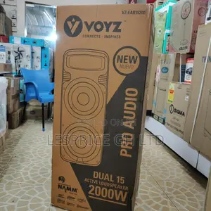 Voyz 2000W Portable Bluetooth Speaker with Microphone & Stand