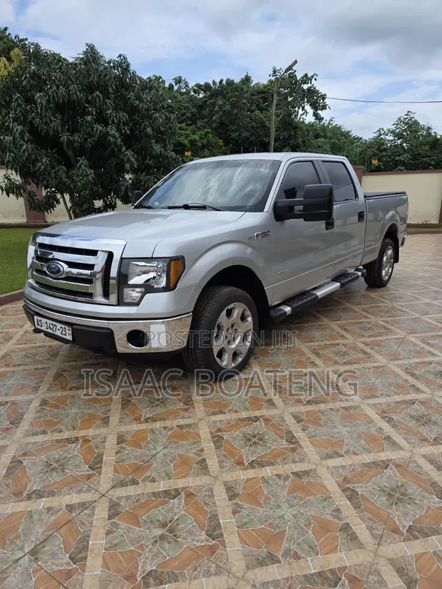 Ford F-150 Platinum 2013 Silver - 1