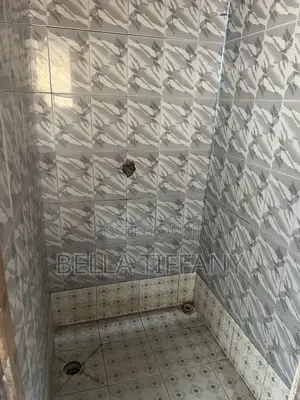 Furnished 1-Bedroom Apartment for Rent in Musuku Stores, Ashongman