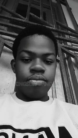 Store Attendant CV - WASSCE Graduate