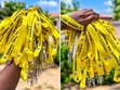 Custom Lanyards Printing - 1