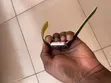Apple Watch Series 3 (38mm) - Cracked Screen - 4